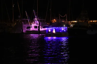 DSC_2459 (Large).JPG